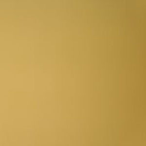 Meet your Posher, Neelam